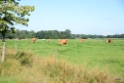 Rondje Immenhof-Waterzuivering-Het Goor